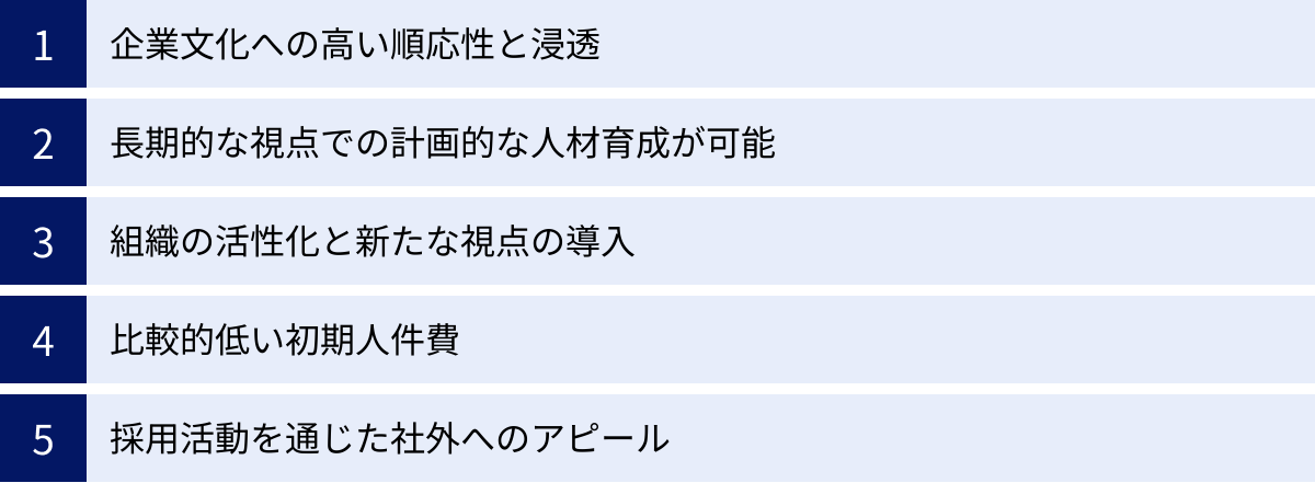 企業文化への高い順応性と浸透、長期的な視点での計画的な人材育成が可能、組織の活性化と新たな視点の導入、比較的低い初期人件費、採用活動を通じた社外へのアピール